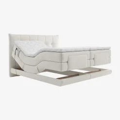 New Habitat Aimie