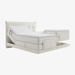 New Habitat Aimie