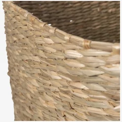 New Habitat Andor