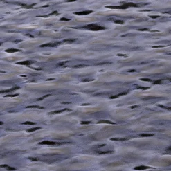 Outlet Habitat Fegina