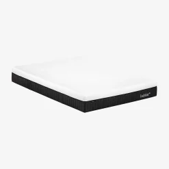 Sale Habitat Hybride genese