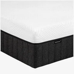 Sale Habitat Hybride genese