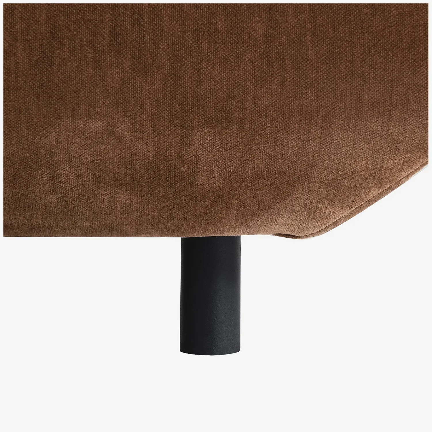 New Habitat Moseri